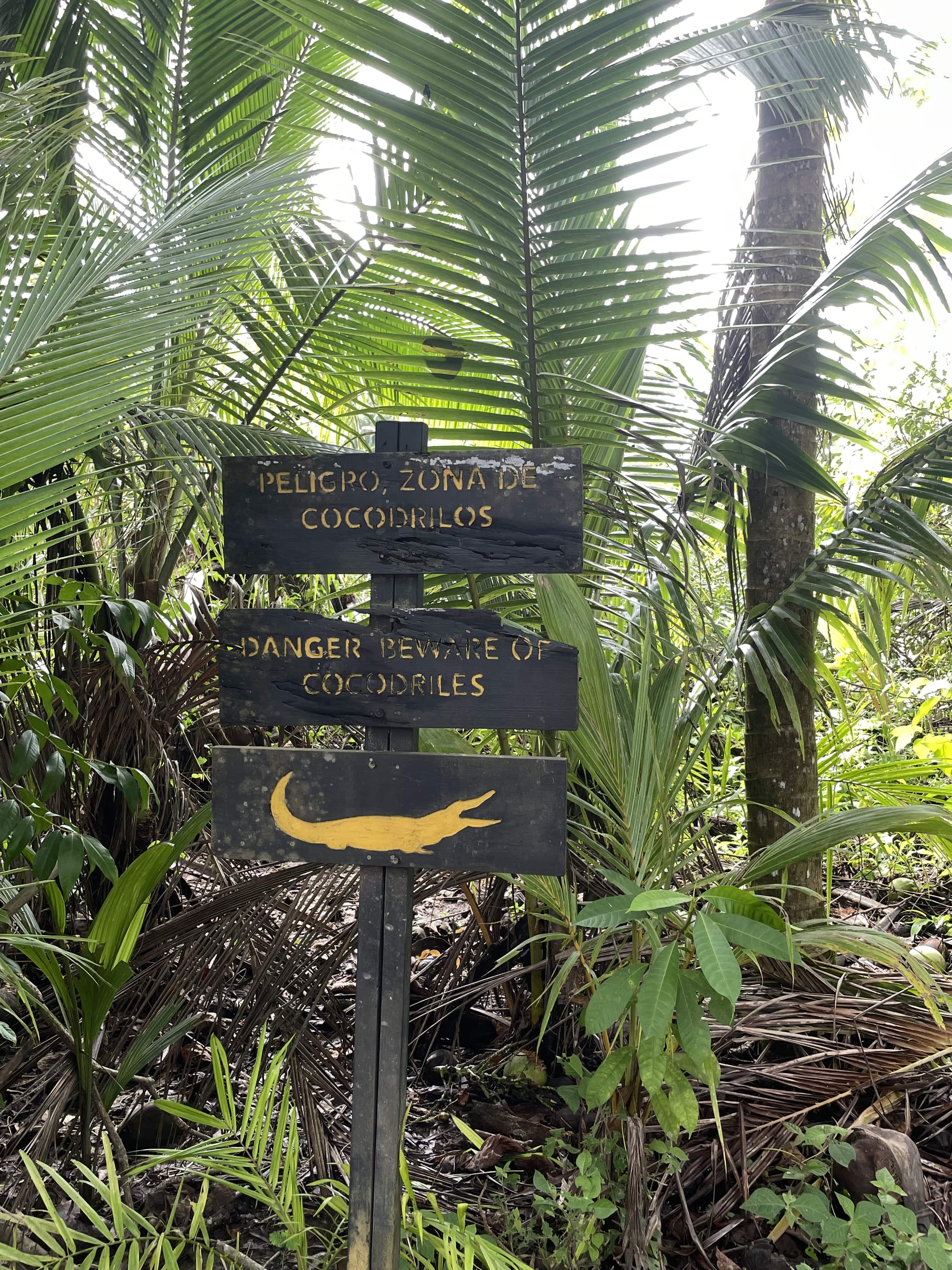 Place image